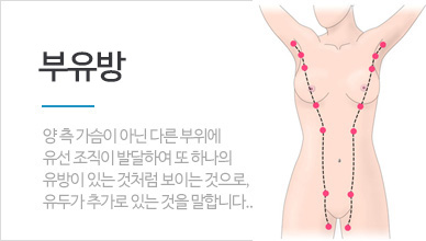 부유방