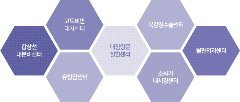 갑상선내분비센터 고도비만대사센터 유방암센터 대장항문질환센터 복강경수술센터 소화기내시경센터 혈관외과센터