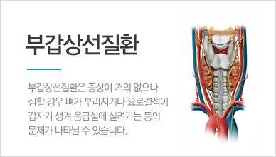부갑상선질환